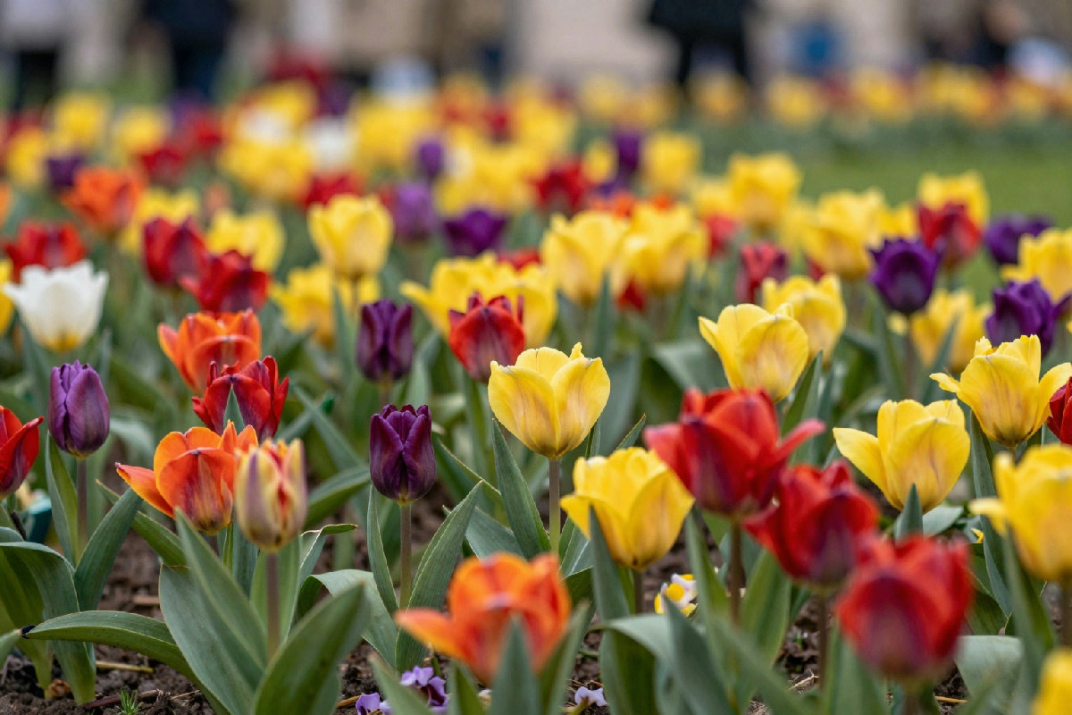 Dove andare a marzo low cost: 7 mete ideali per accogliere l'arrivo della primavera